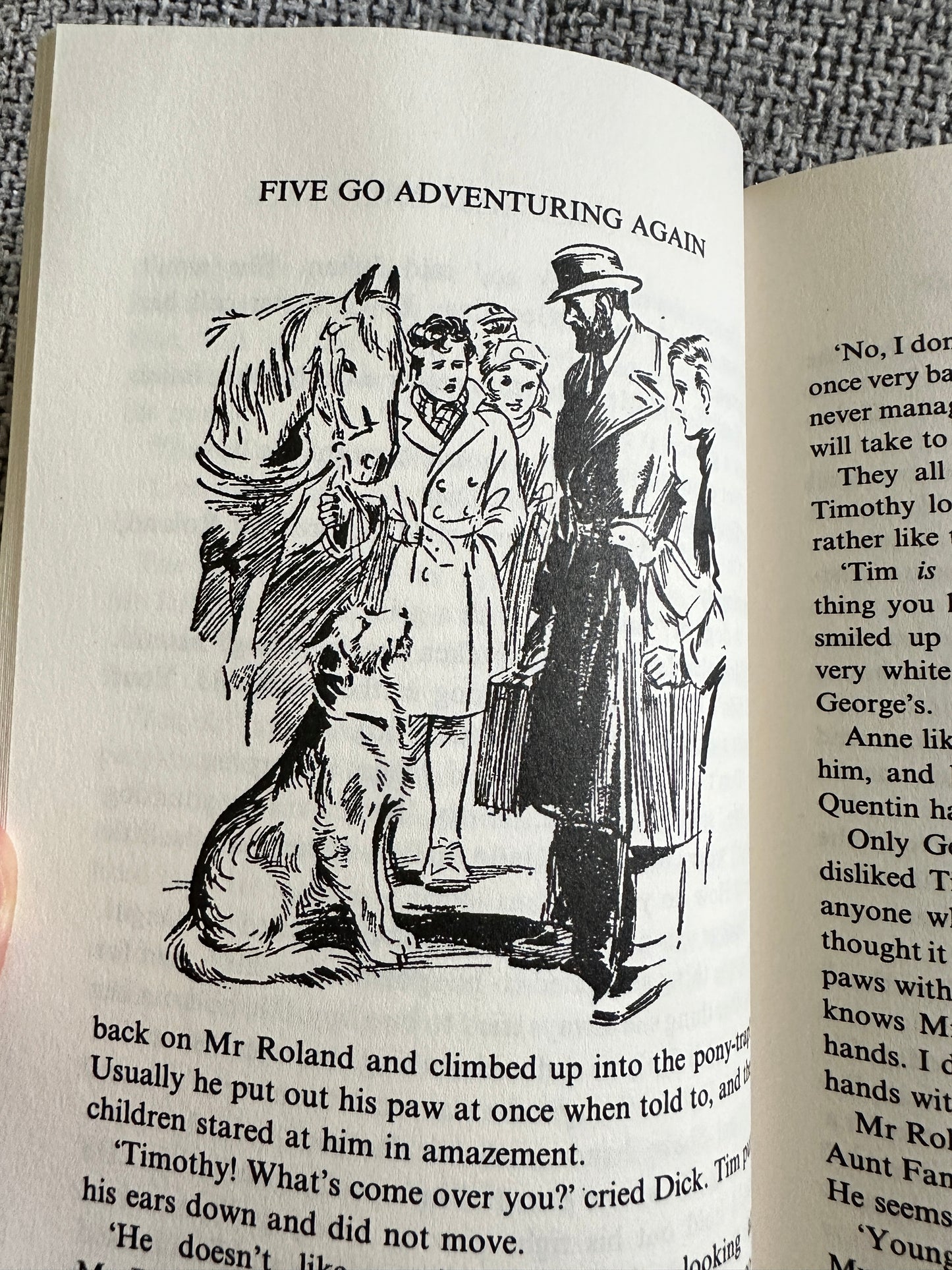 2009/1997 Five Go Adventuring Again / Five Have Plenty Of Fun - Enid Blyton(Hodder)