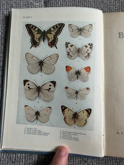 1941 British Butterflies - A. M. Stewart (A&C Black Ltd)