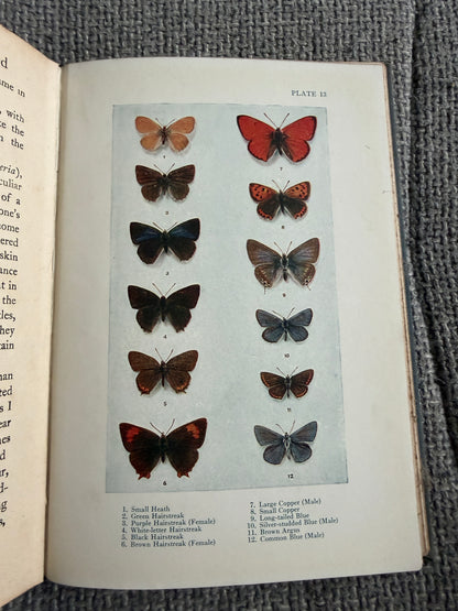 1941 British Butterflies - A. M. Stewart (A&C Black Ltd)
