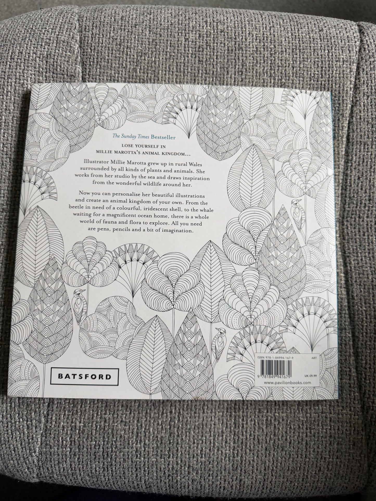 2014 Millie Marotta’s Animal Kingdom A Colouring Book Adventure (As new) Batsford