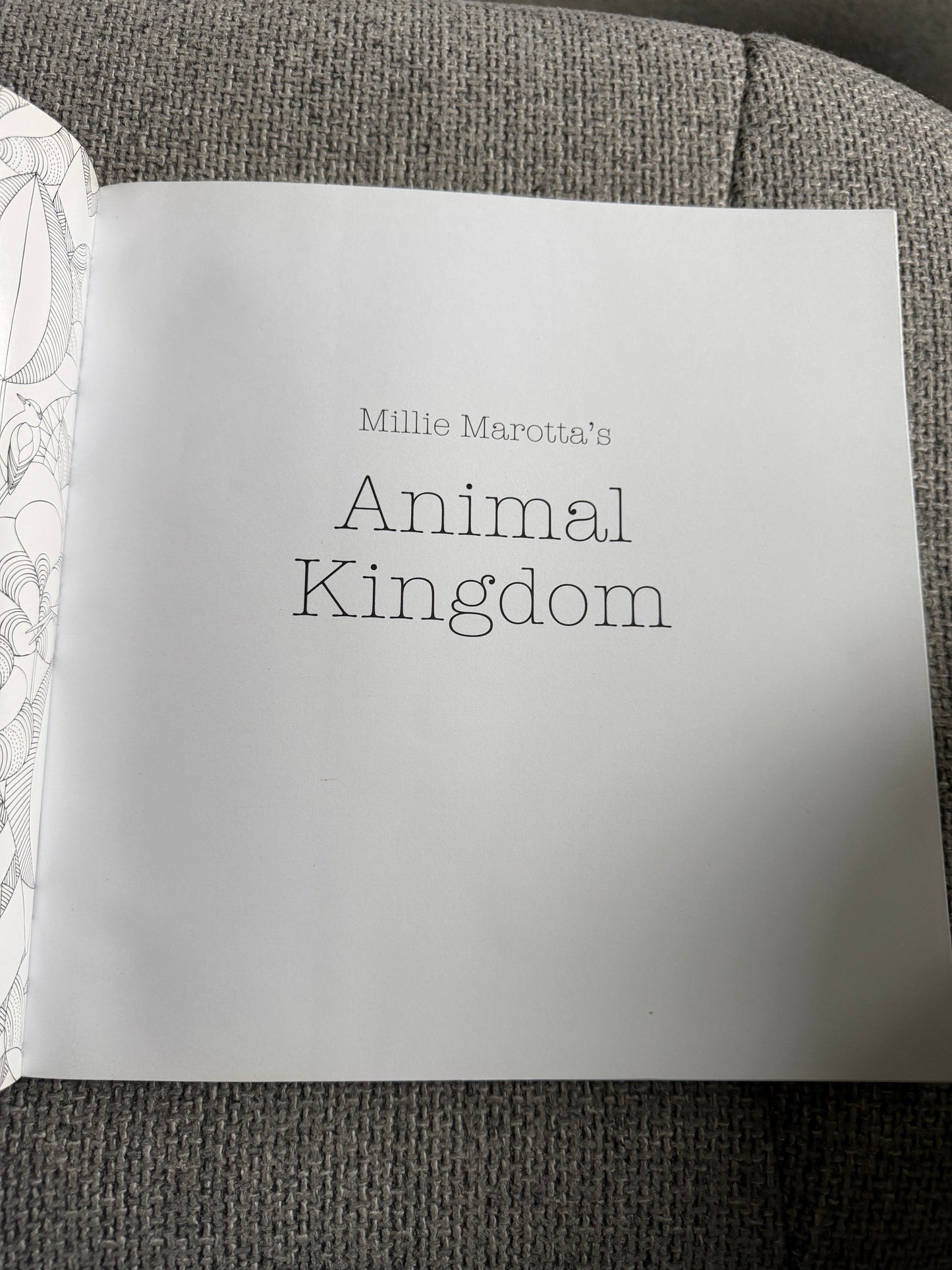 2014 Millie Marotta’s Animal Kingdom A Colouring Book Adventure (As new) Batsford