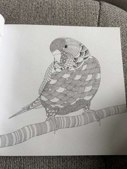 2014 Millie Marotta’s Animal Kingdom A Colouring Book Adventure (As new) Batsford