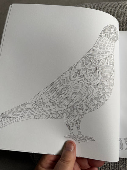 2014 Millie Marotta’s Animal Kingdom A Colouring Book Adventure (As new) Batsford