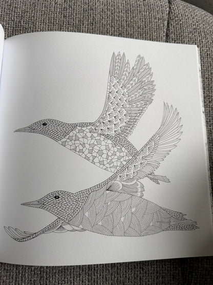 2014 Millie Marotta’s Animal Kingdom A Colouring Book Adventure (As new) Batsford