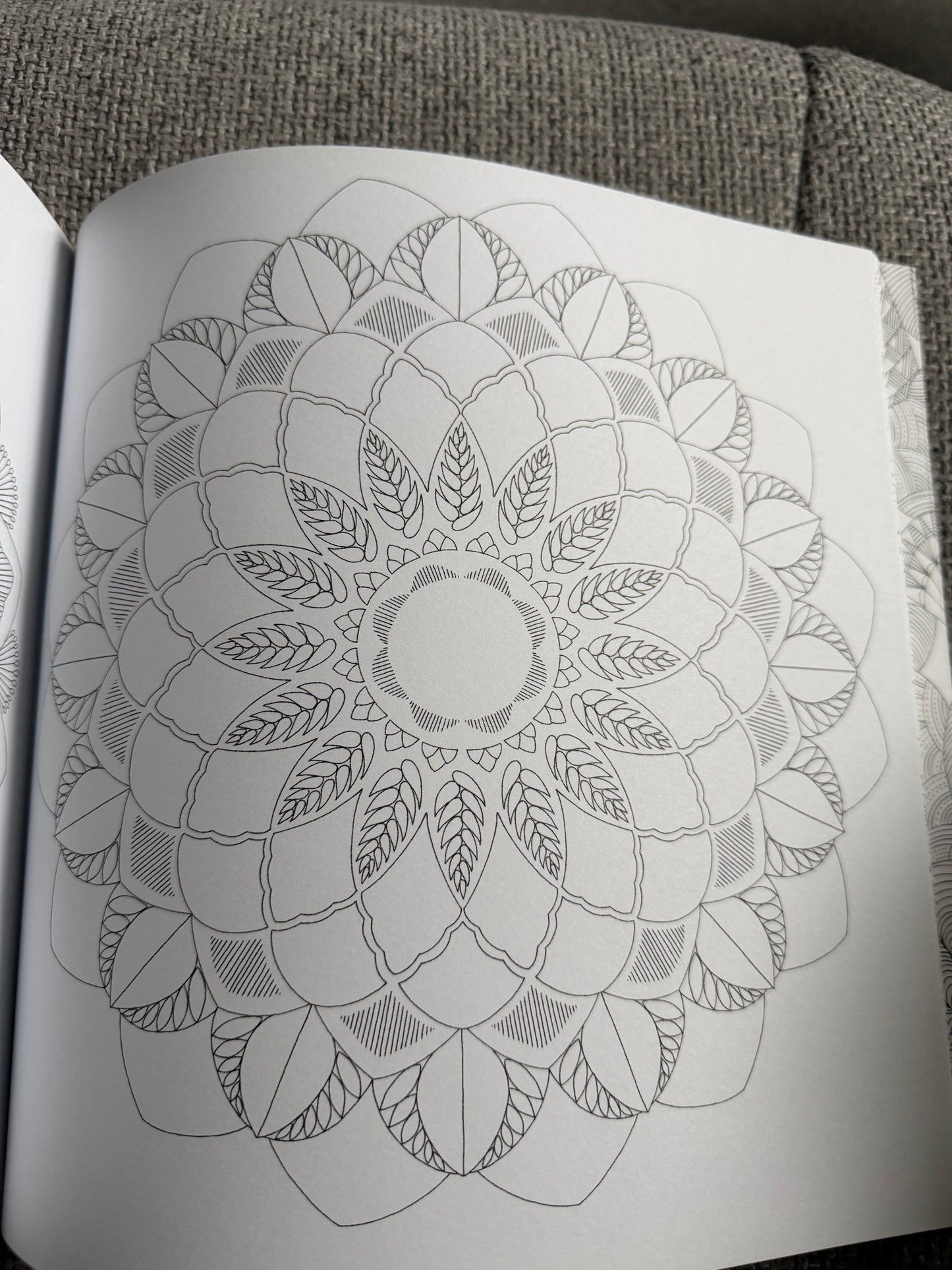 2014 Millie Marotta’s Animal Kingdom A Colouring Book Adventure (As new) Batsford