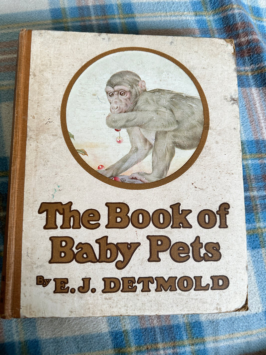 1918circa The Book Of Baby Pets - Florence E. Dugdale(Edward Julius Detmold illustration) Henry Frowde Publisher