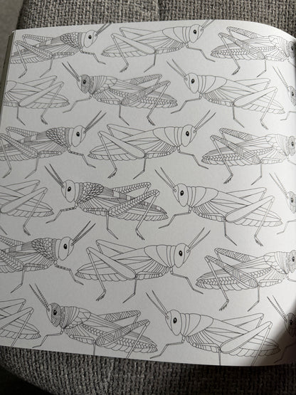 2014 Millie Marotta’s Animal Kingdom A Colouring Book Adventure (As new) Batsford