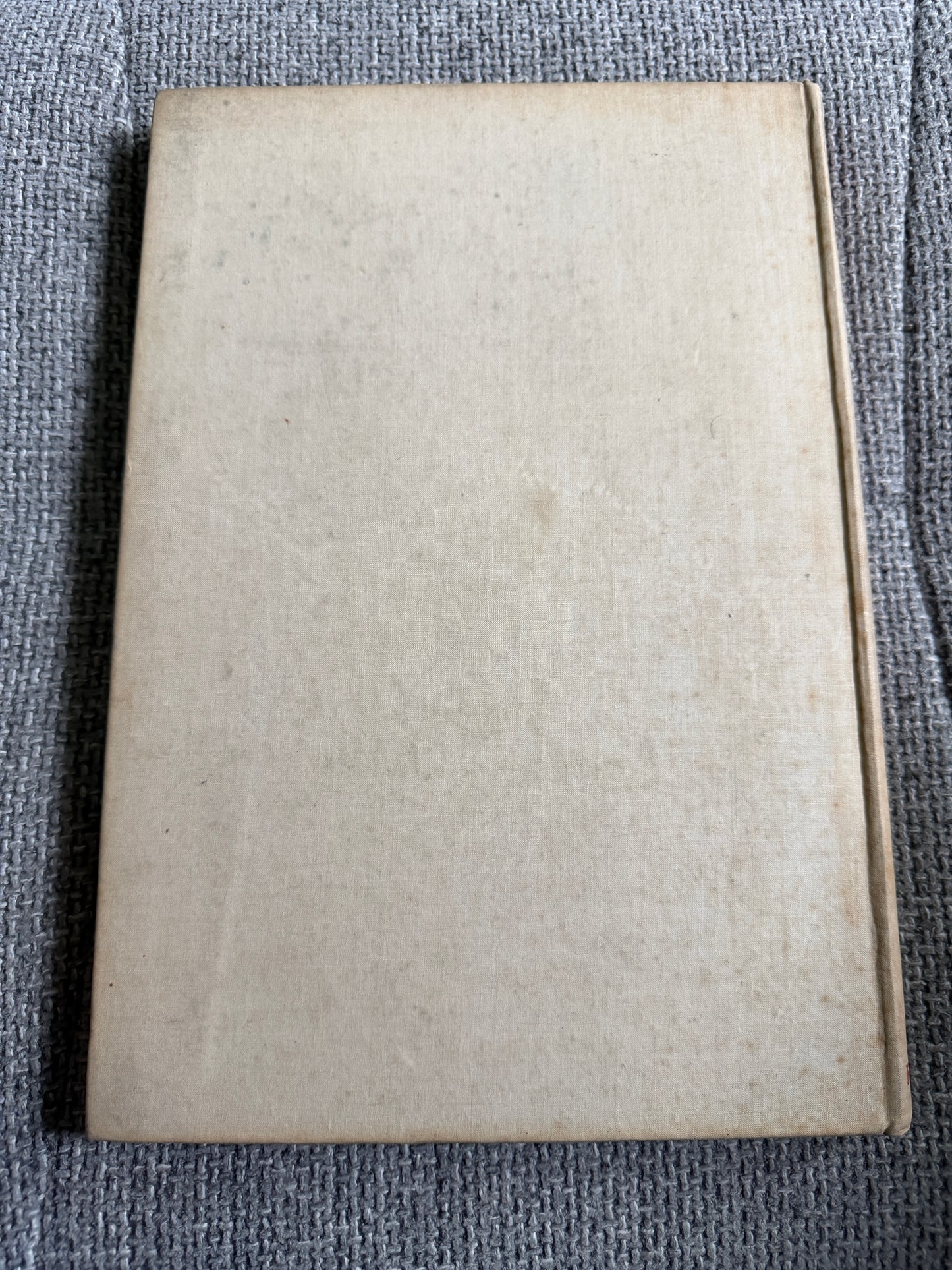 1941 Augustus John Drawings - Lillian Browse & T. W. Earp (Faber & Faber Ltd)