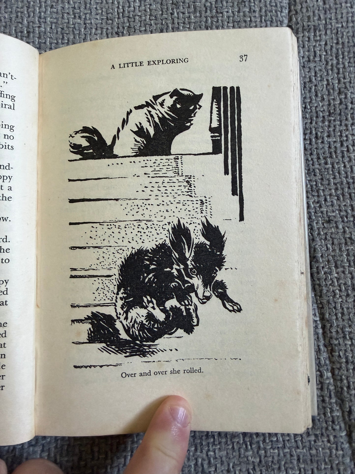 1955*1st* Holiday House - Enid Blyton (Grace Lodge illust) Evans Bros.