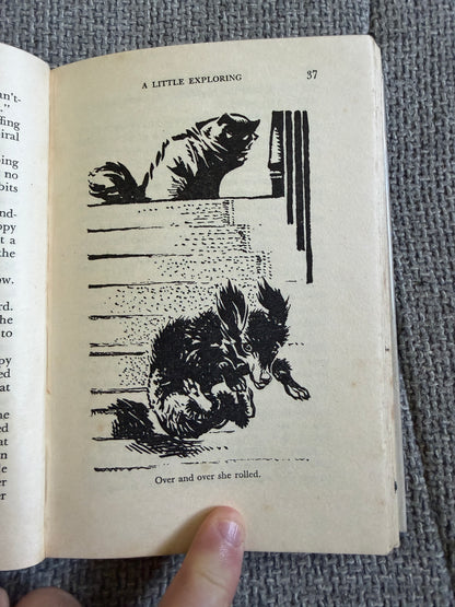 1955*1st* Holiday House - Enid Blyton (Grace Lodge illust) Evans Bros.