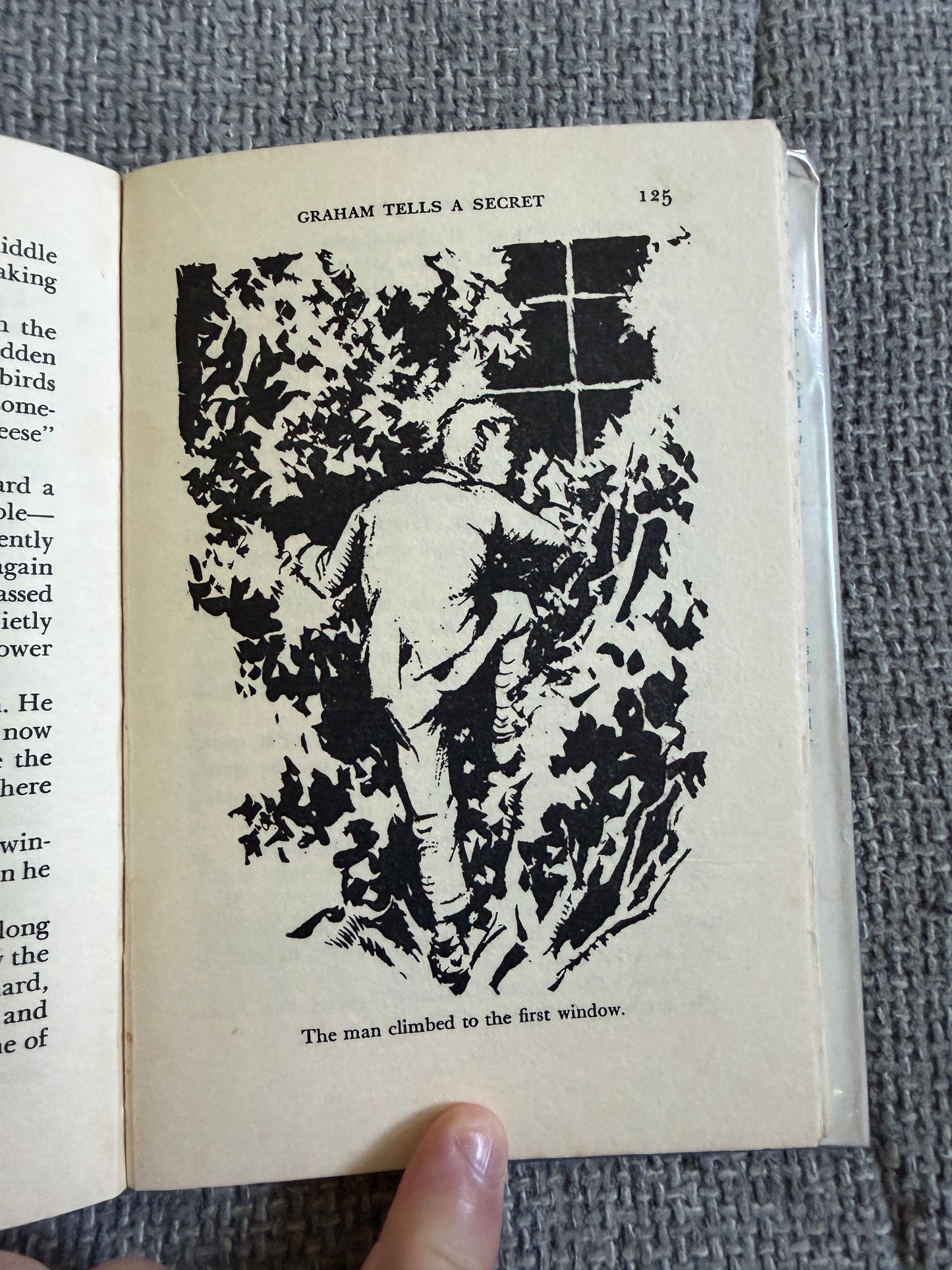 1955*1st* Holiday House - Enid Blyton (Grace Lodge illust) Evans Bros.
