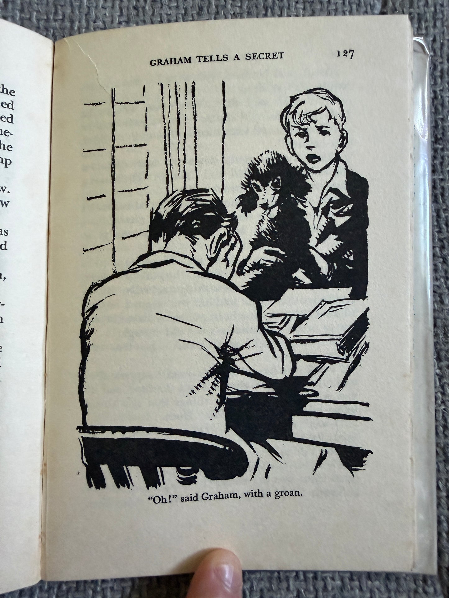 1955*1st* Holiday House - Enid Blyton (Grace Lodge illust) Evans Bros.