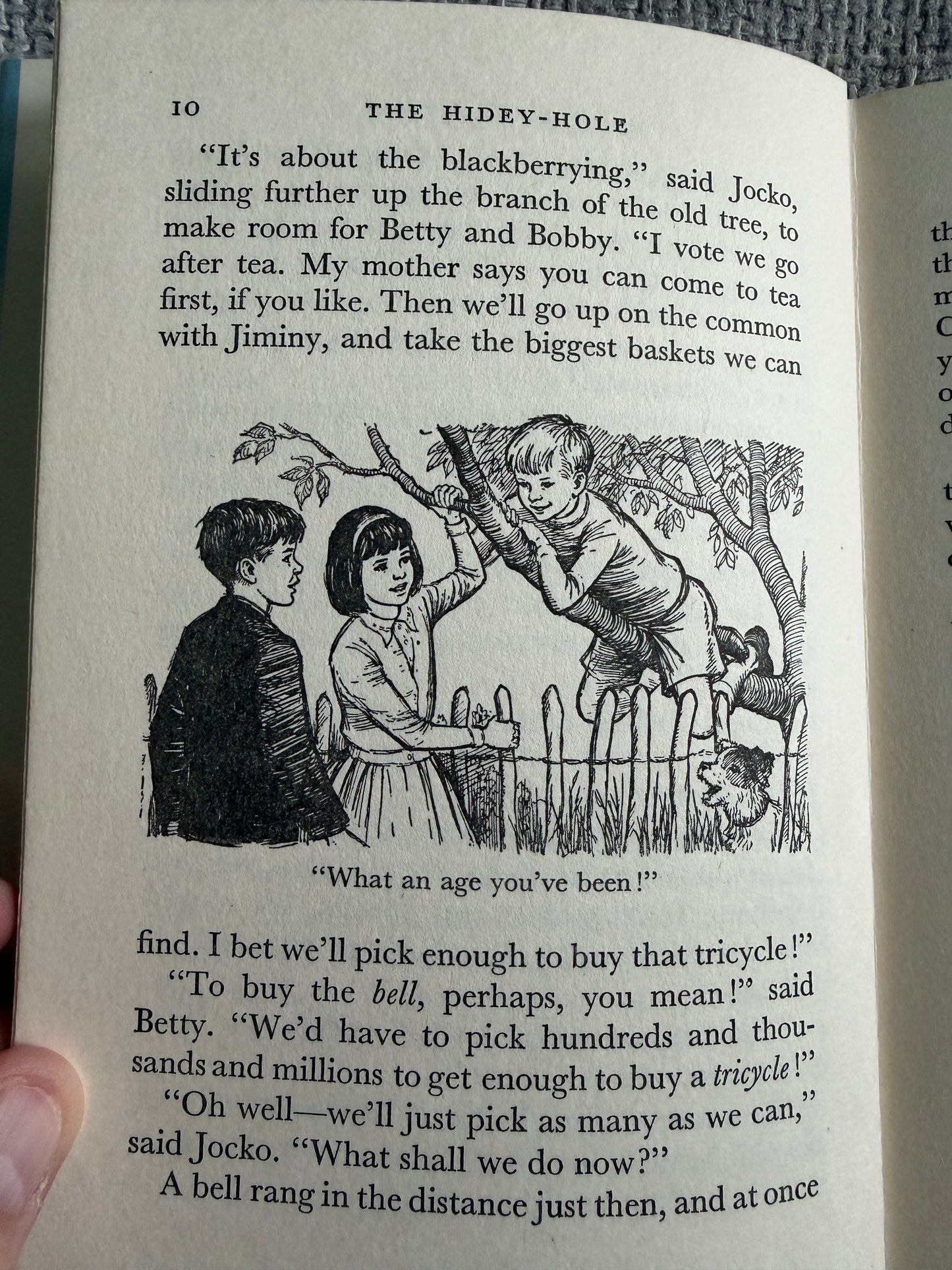 1964*1st* The Hidey-Hole - Enid Blyton (Daphne Rowles illust) Lutterworth Press