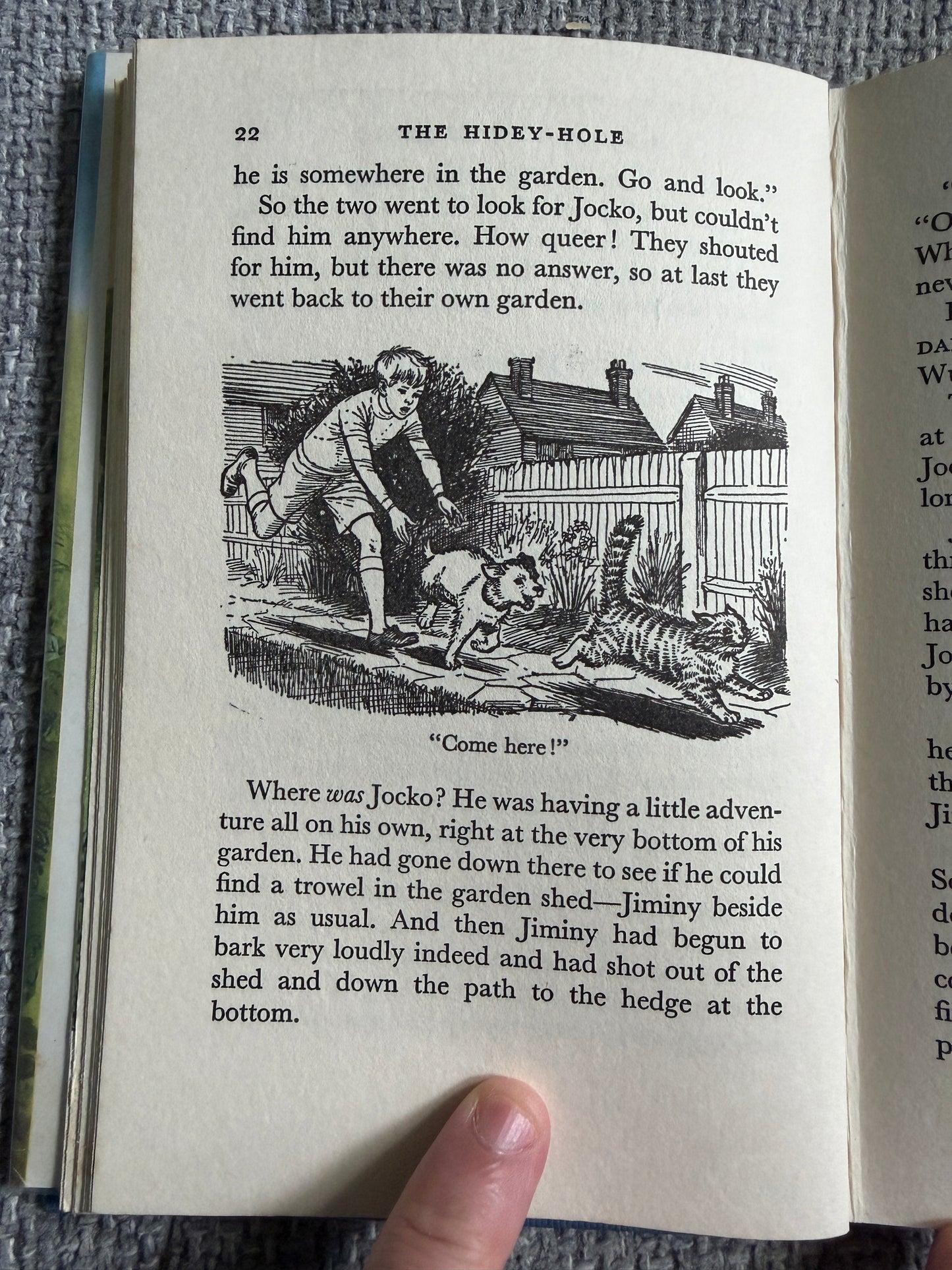 1964*1st* The Hidey-Hole - Enid Blyton (Daphne Rowles illust) Lutterworth Press