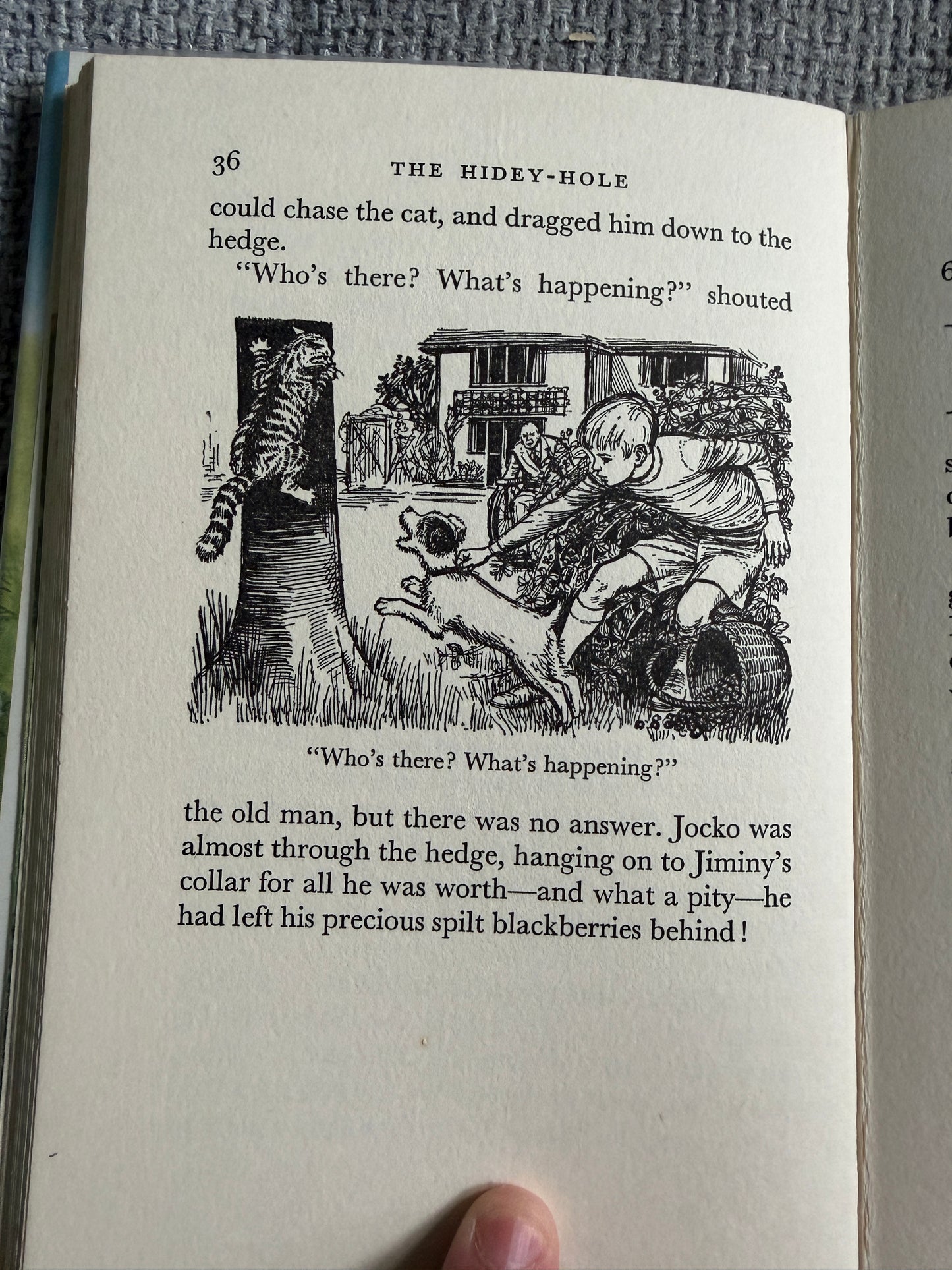 1964*1st* The Hidey-Hole - Enid Blyton (Daphne Rowles illust) Lutterworth Press