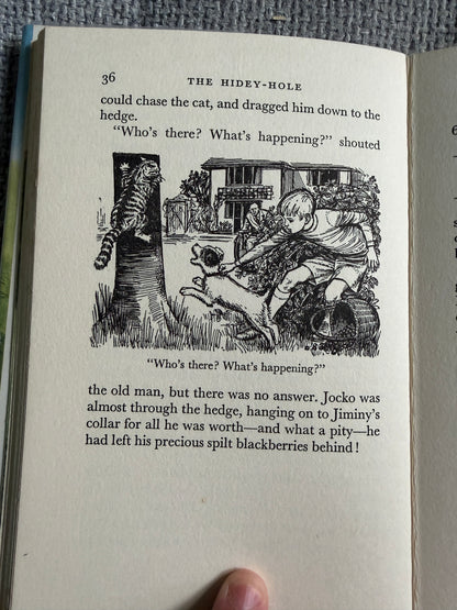 1964*1st* The Hidey-Hole - Enid Blyton (Daphne Rowles illust) Lutterworth Press