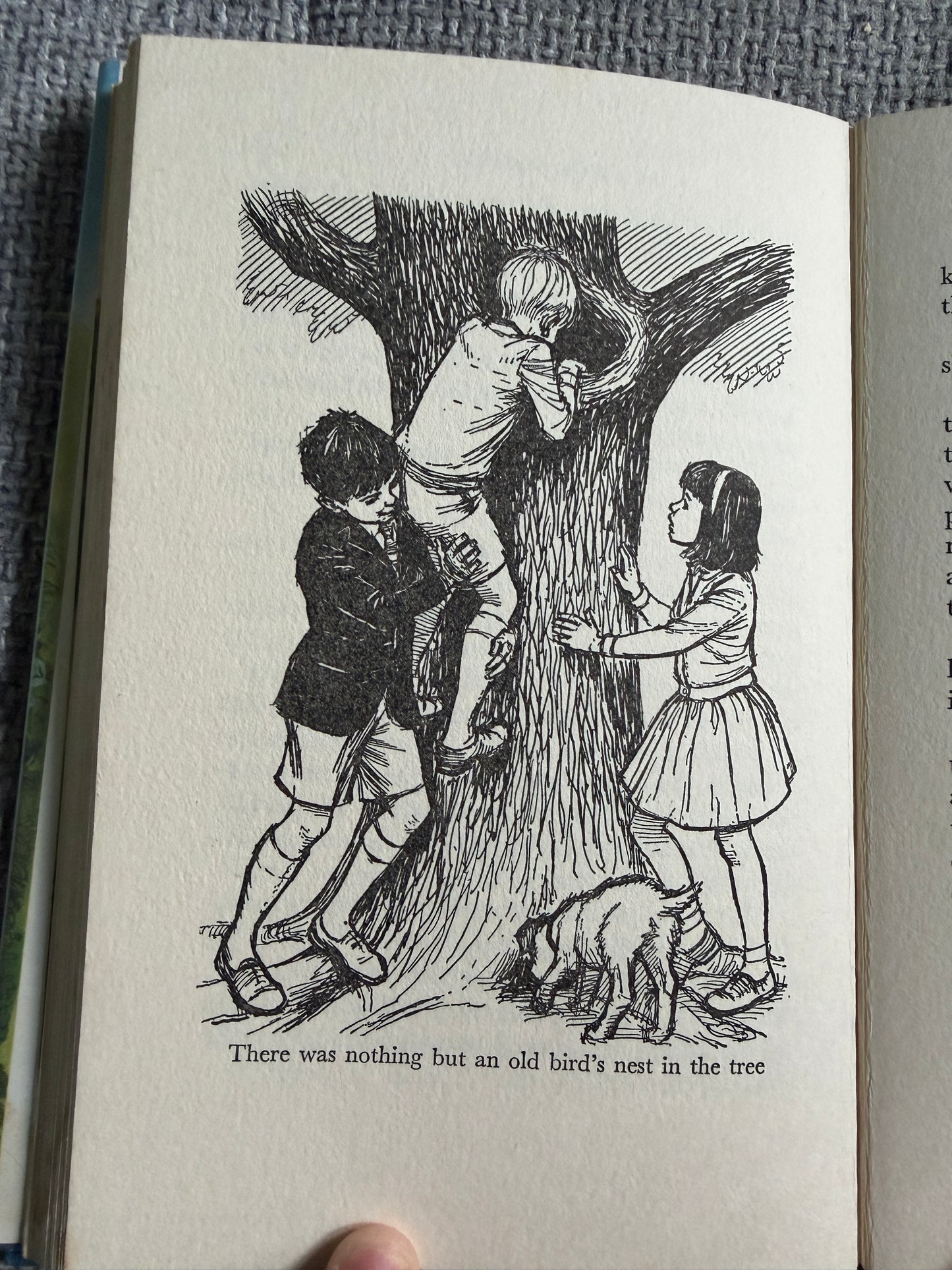 1964*1st* The Hidey-Hole - Enid Blyton (Daphne Rowles illust) Lutterworth Press