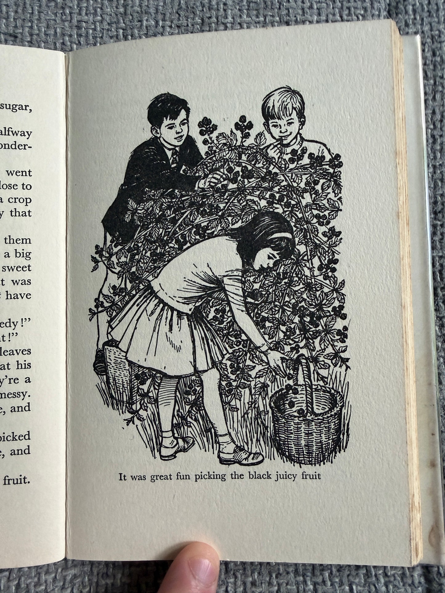 1964*1st* The Hidey-Hole - Enid Blyton (Daphne Rowles illust) Lutterworth Press