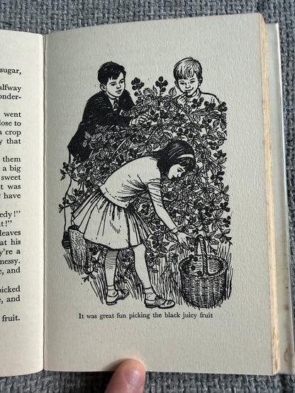 1964*1st* The Hidey-Hole - Enid Blyton (Daphne Rowles illust) Lutterworth Press