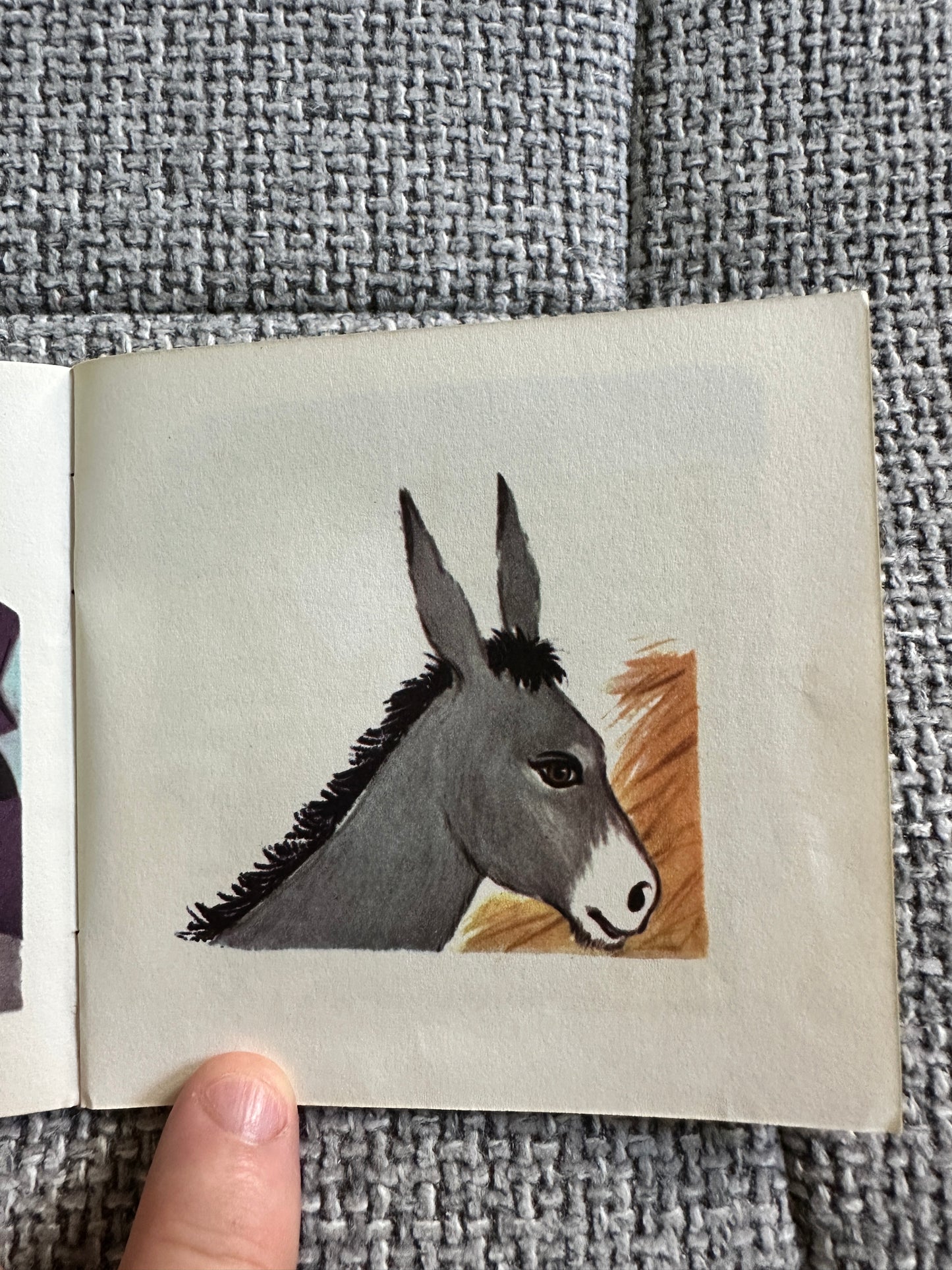 1950’s The Little Donkey A Mini Book(Brown Watson)