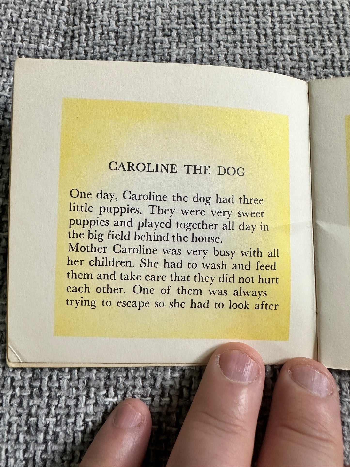 1950’s Caroline The Dog A Mini Book(Brown Watson)