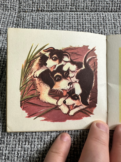 1950’s Caroline The Dog A Mini Book(Brown Watson)