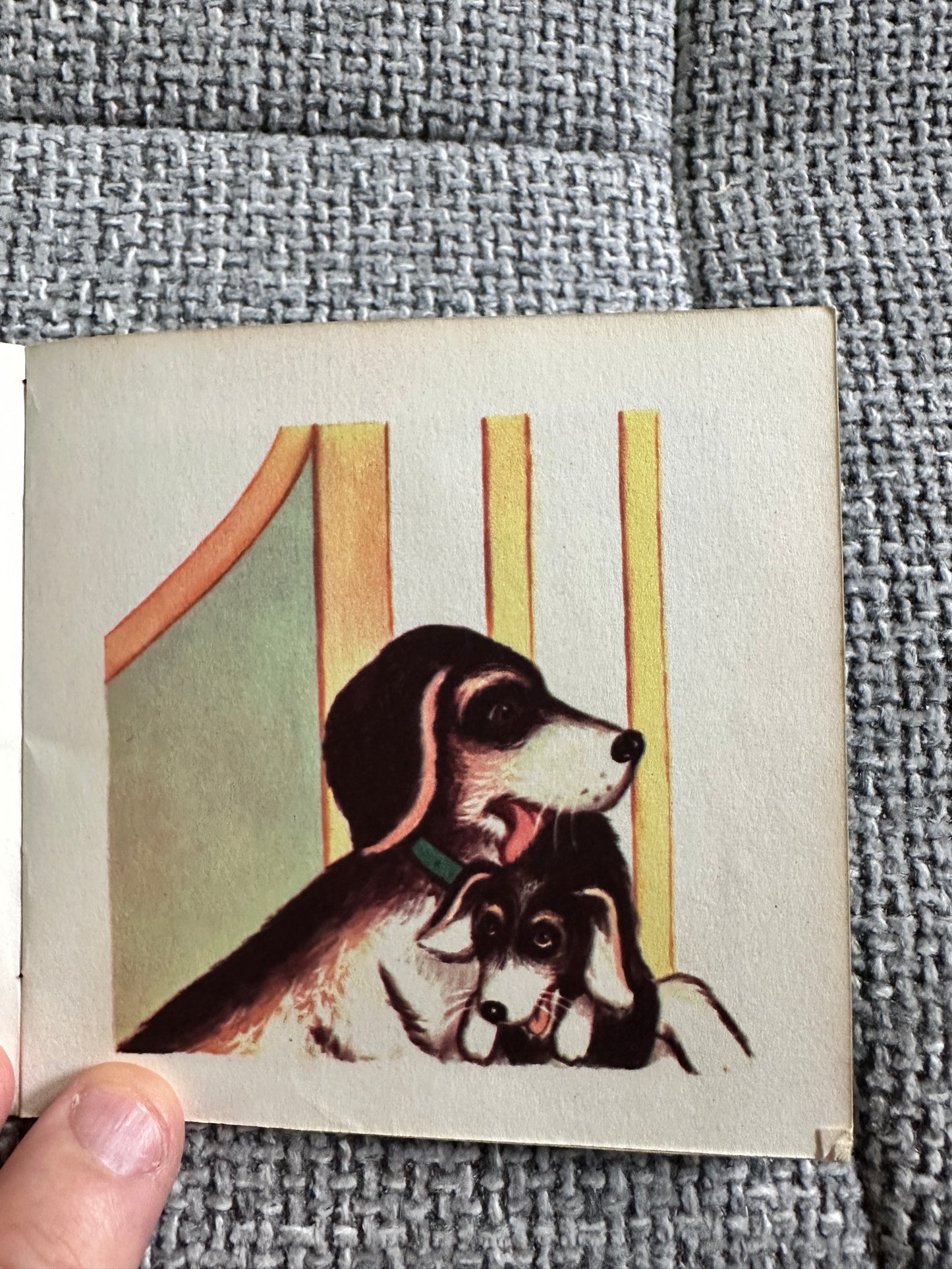 1950’s Caroline The Dog A Mini Book(Brown Watson)