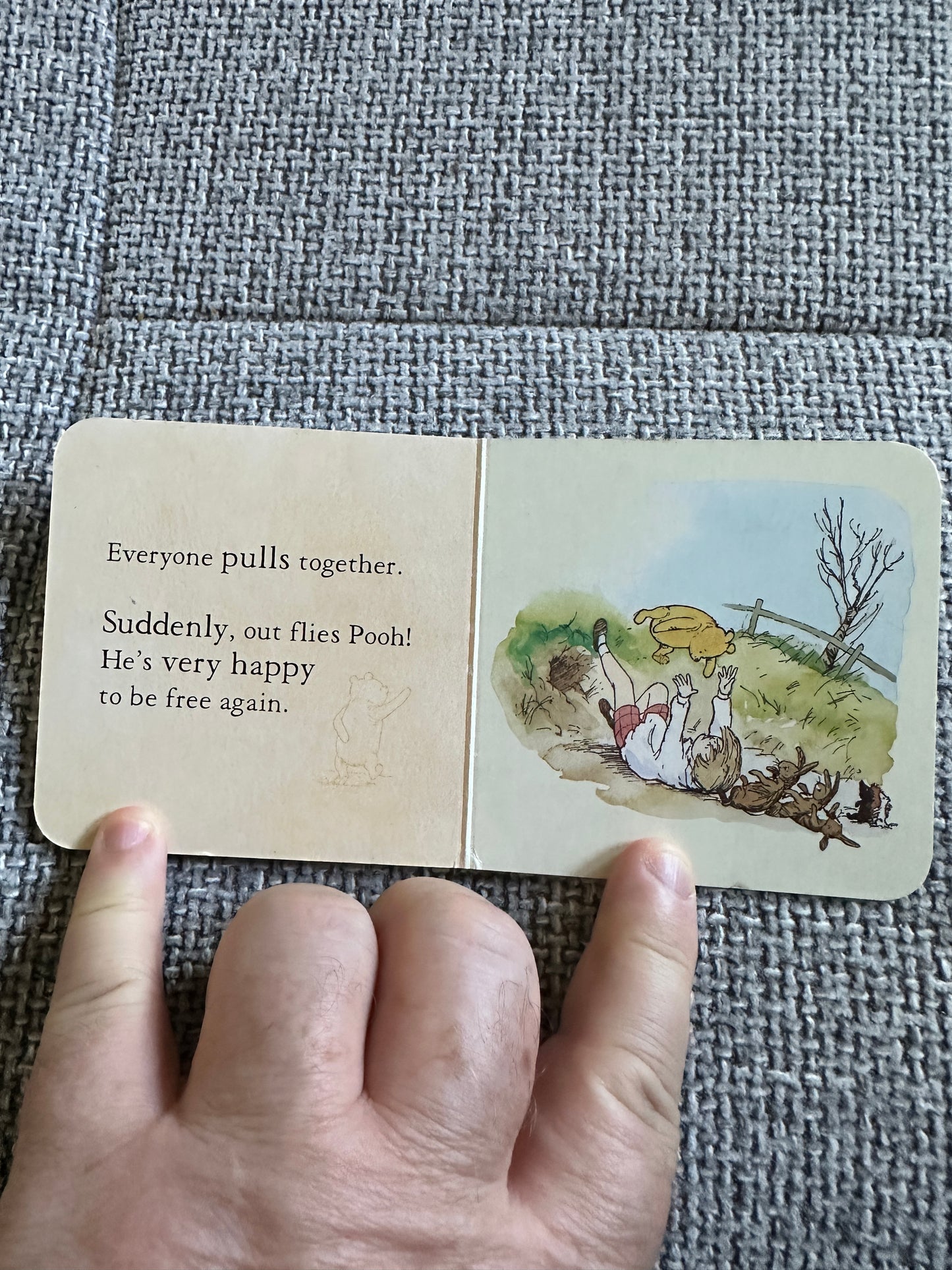 2005 Pooh Goes Visiting - A. A. Milne(Andrew Grey illustrator)Egmont Books