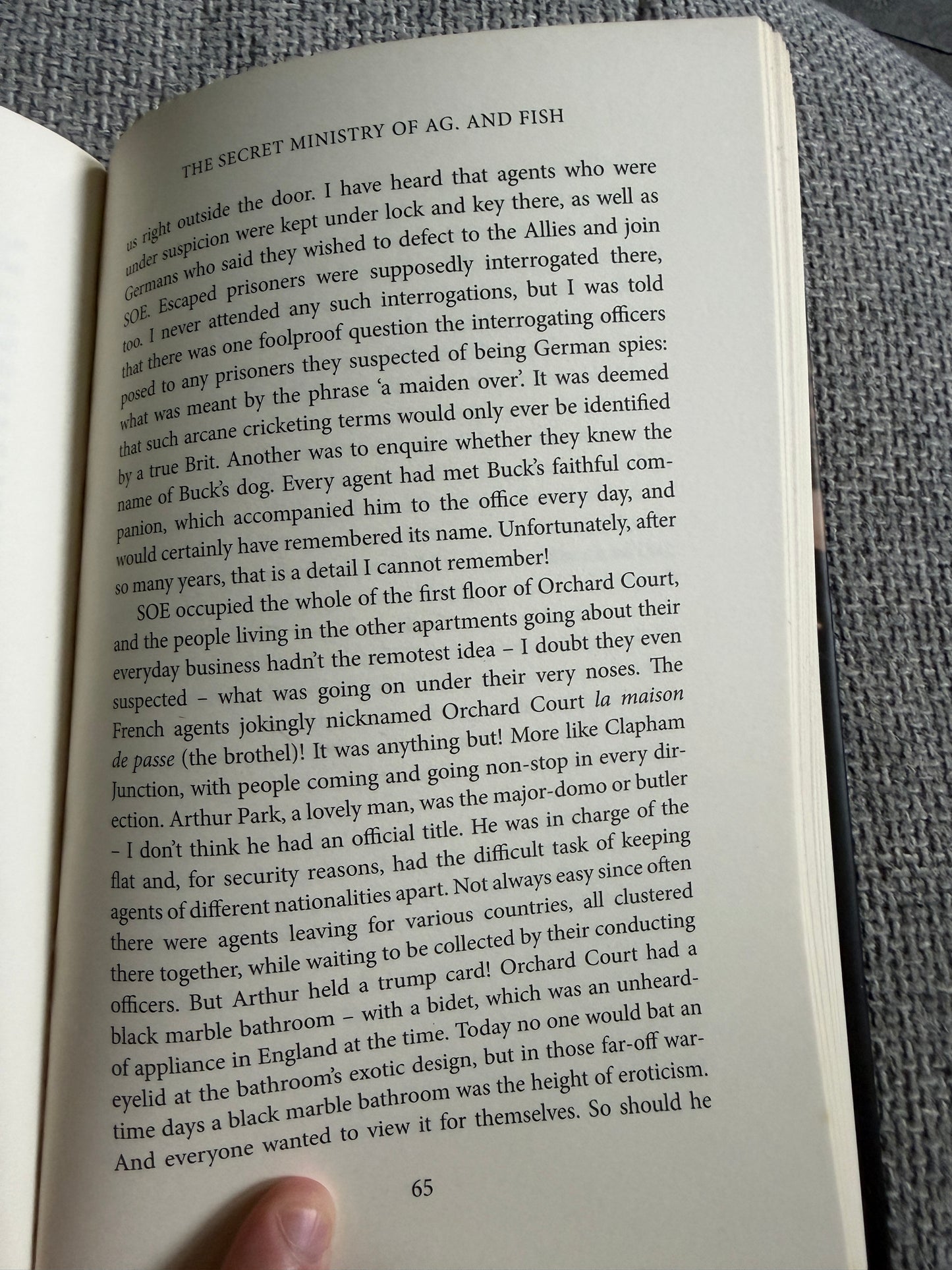 2013 The Secret Ministry Of Ag. & Fish - Noreen Riols (MacMillan)