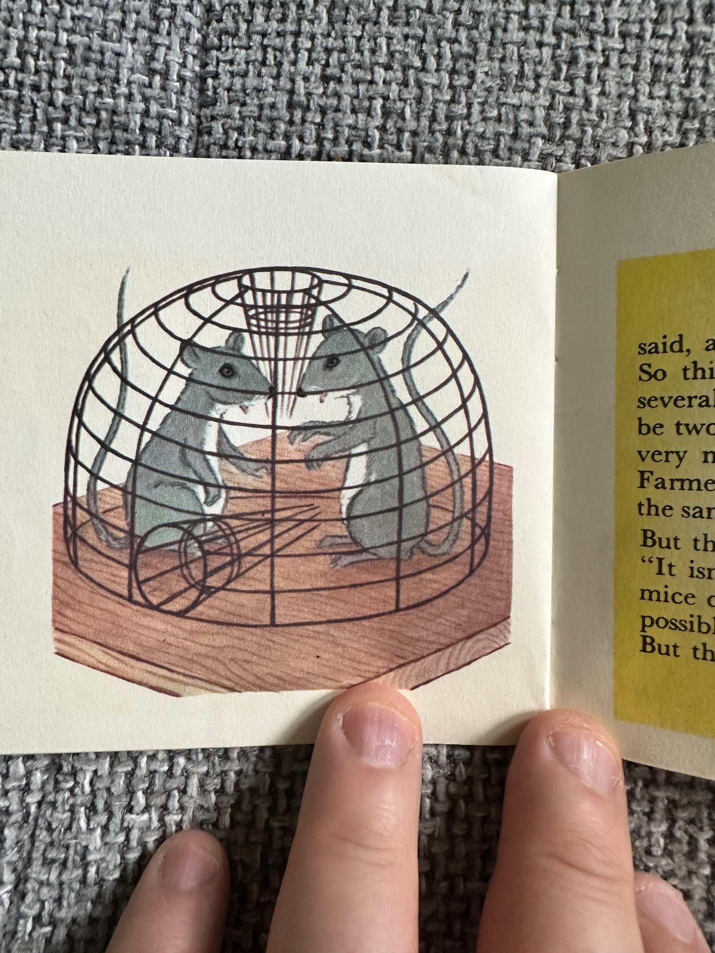 1950’s The Mouse Family A Mini Book (Brown Watson published)