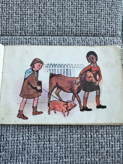 1960’s Ready To Read: The Pet Show -(Paul Olds Illust) Schools Publication Dpt Department of Education New Zealand