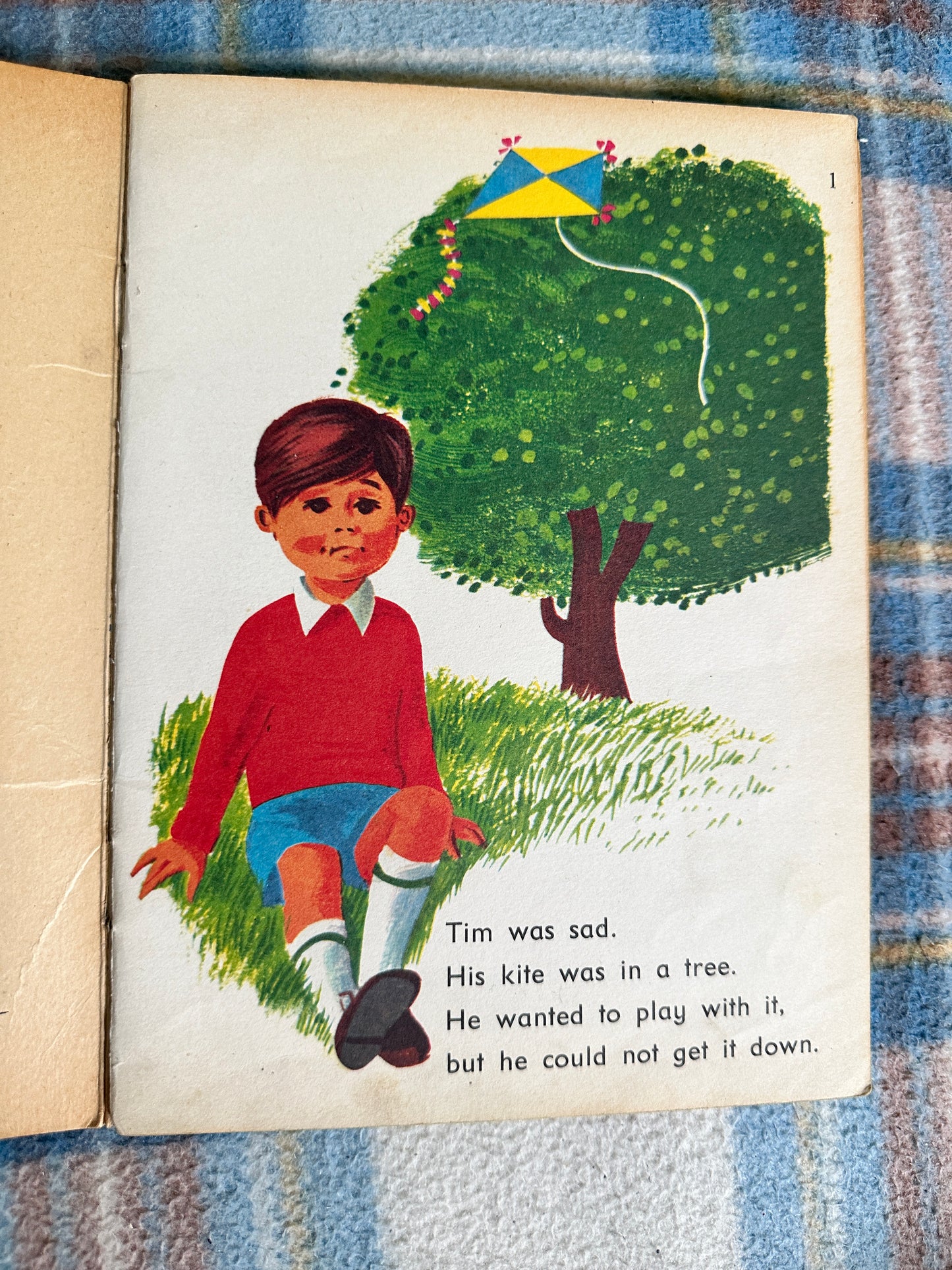 1970 Tim’s Kite(Green Book 3) Ruth Ainsworth & Ronald Ridout(Bancroft & Co)