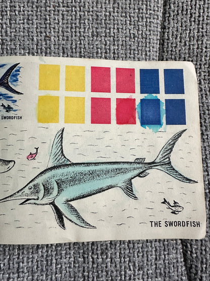 1950’s Colourix Painting Book(Fish Studies) Collins Adprint