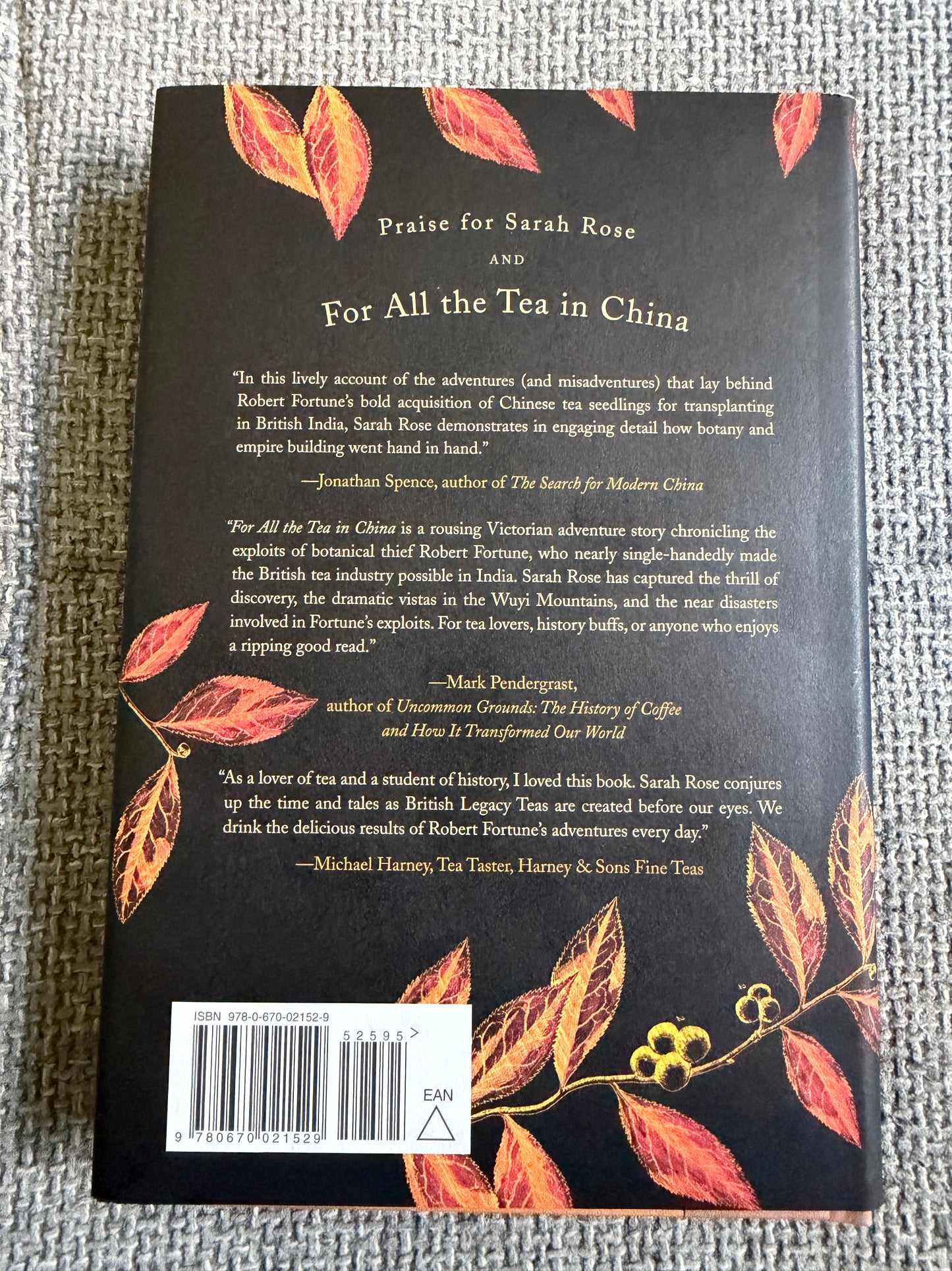 2009 For All The Tea In China - Sarah Rose (Viking)