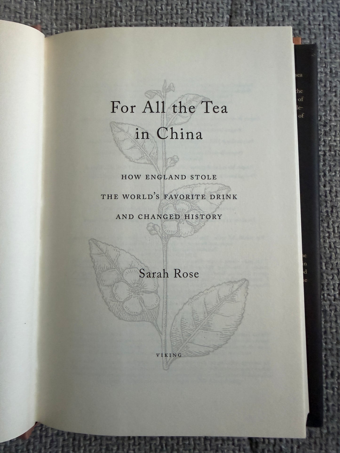 2009 For All The Tea In China - Sarah Rose (Viking)