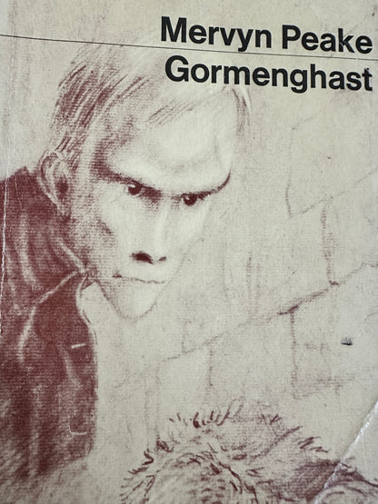 1979 - Gormenghast Trilogy(Titus Groan, Gormenghast & Titus Alone) Mervyn Peake(Illustration by the author) Penguin Books
