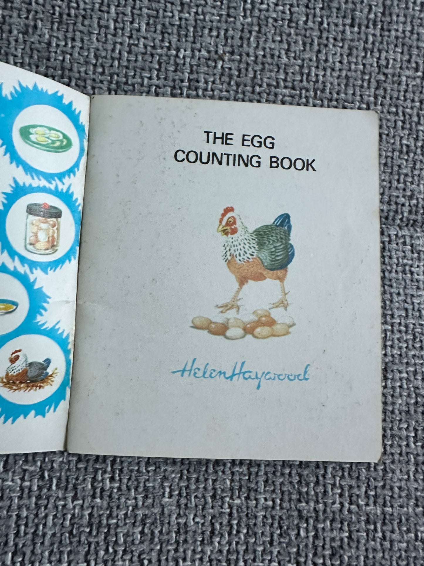 1960’s The Egg Count Book - Helen Haywood(Sandles)