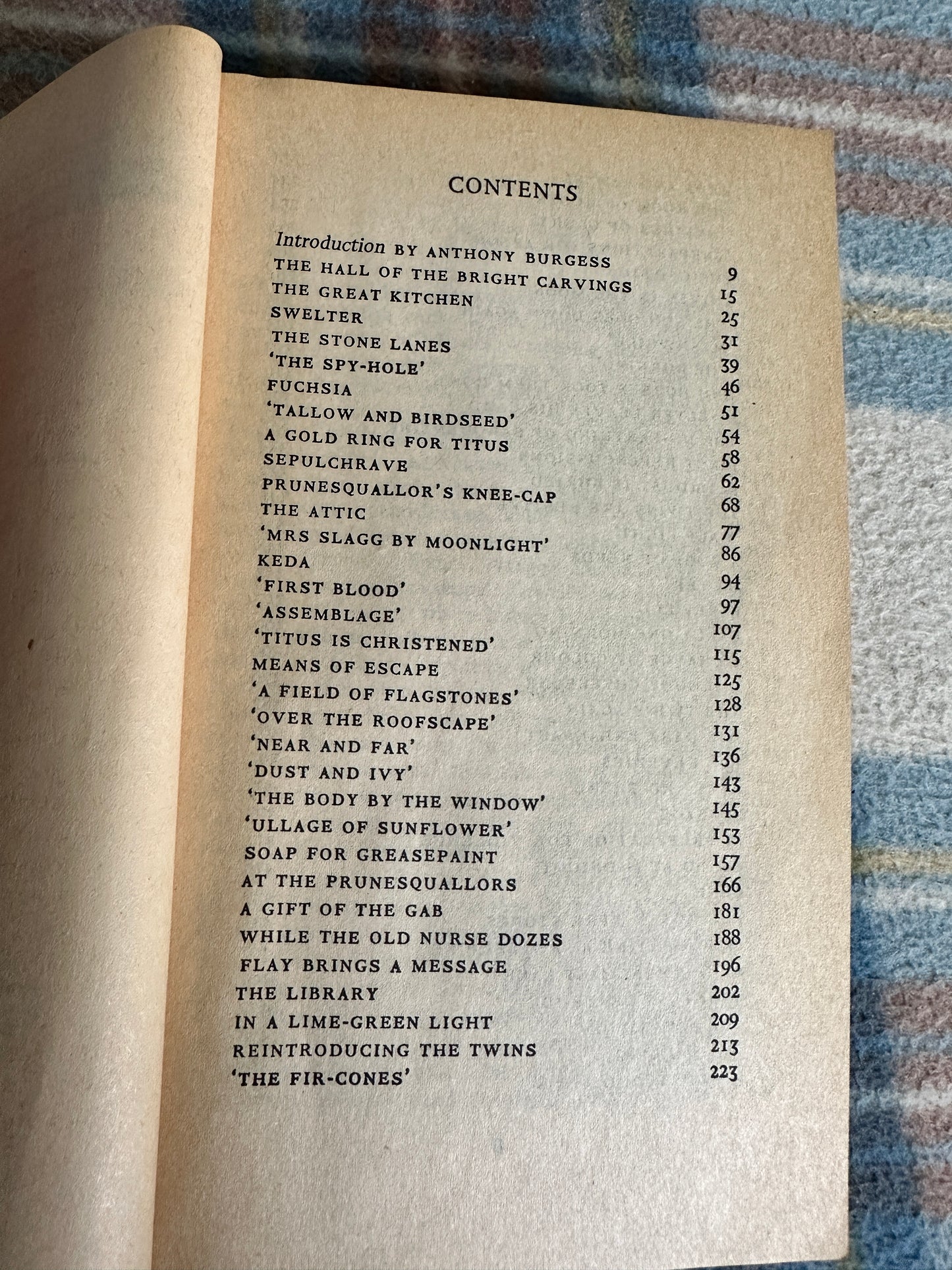 1979 Titus Groan - Mervyn Peake(Penguin Modern Classics)