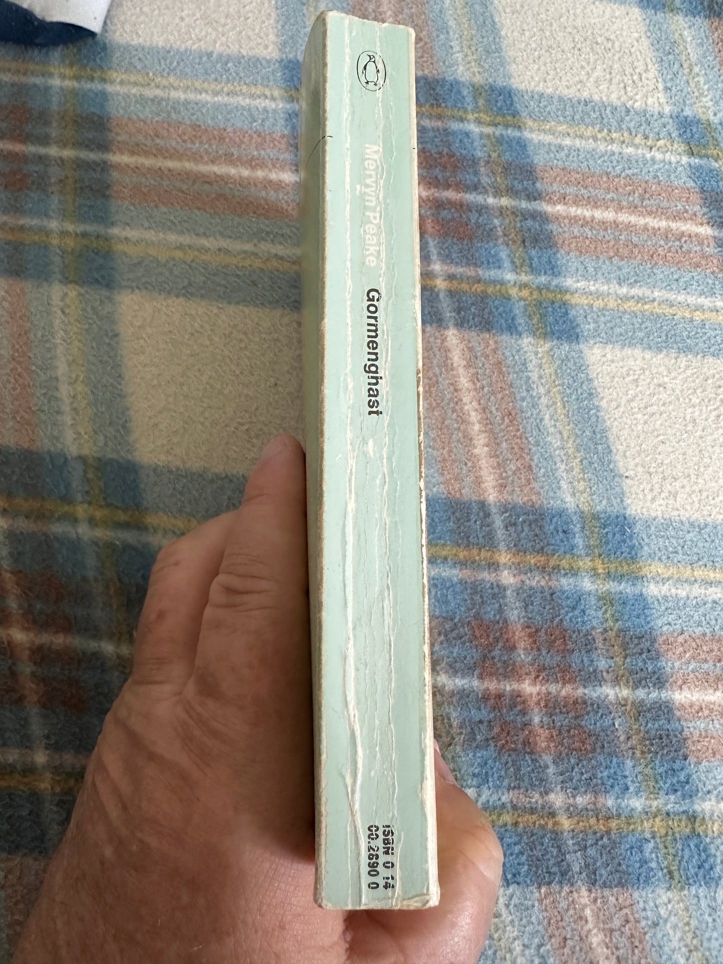 1979 Gormenghast - Mervyn Peake(Penguin Modern Classics)