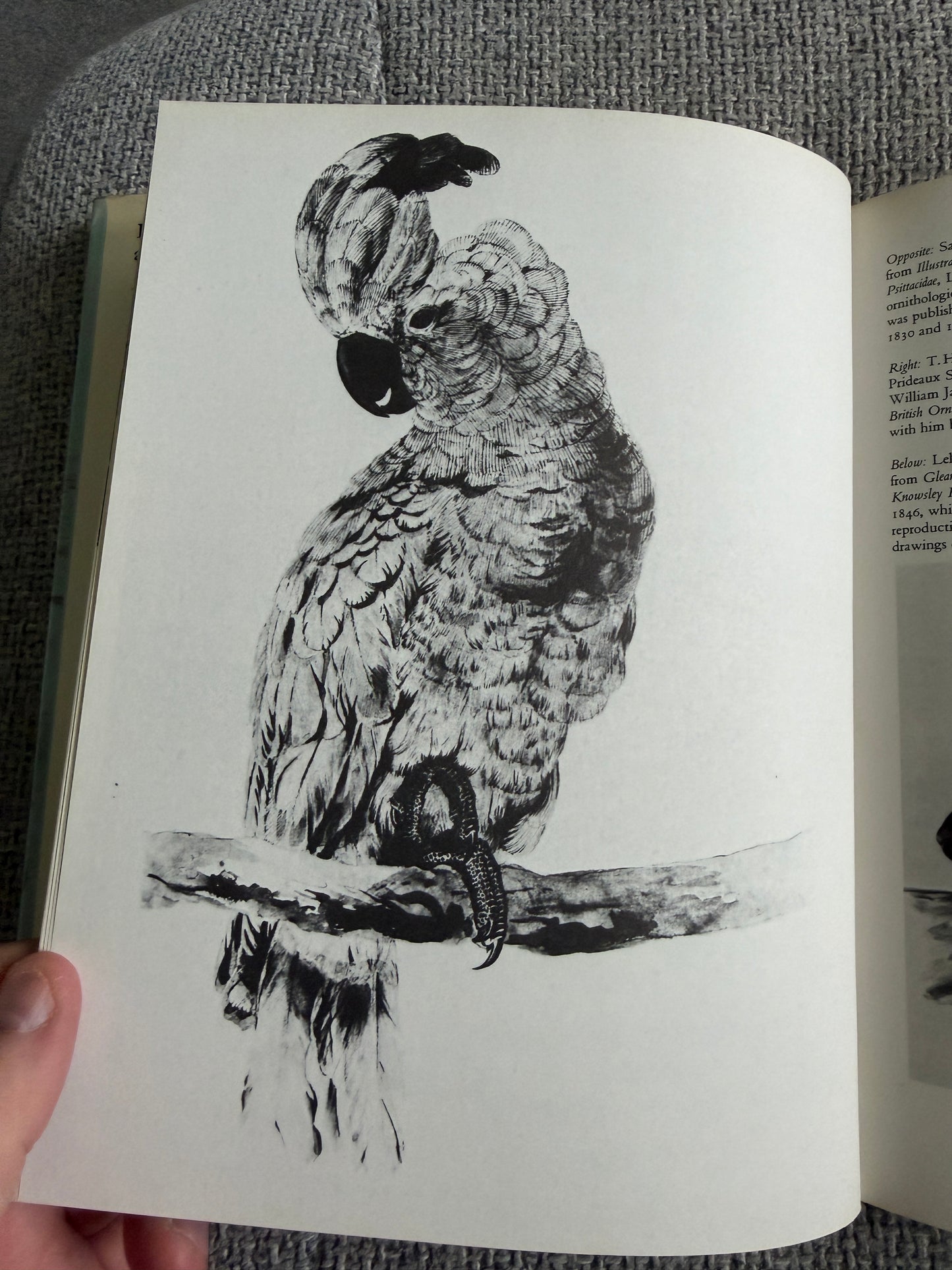 1977 Edward Lear & His World - John Lehmann (Thames & Hudson)