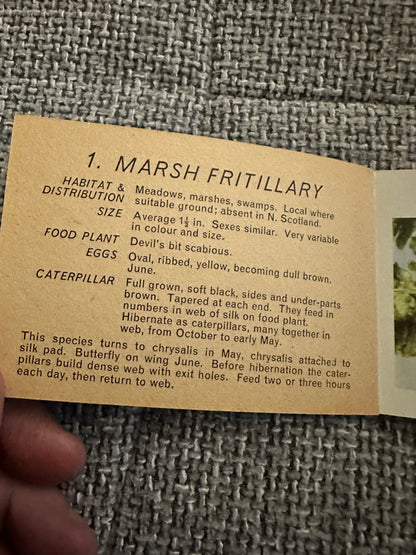 1960’s Butterflies & Moths(Part 3) Pocket Library No23 - Maxwell Knight