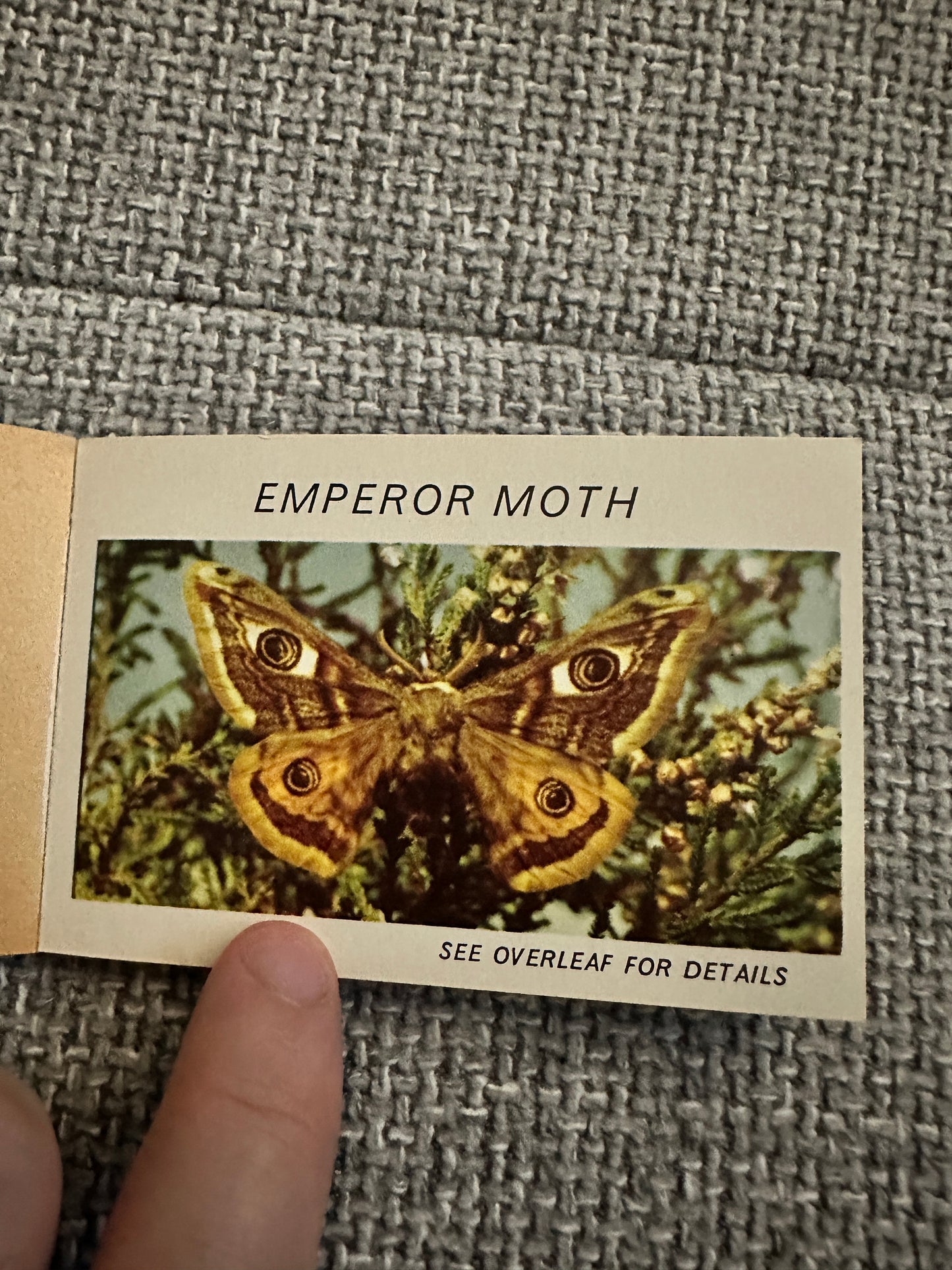 1960’s Butterflies & Moths(Part 3) Pocket Library No23 - Maxwell Knight