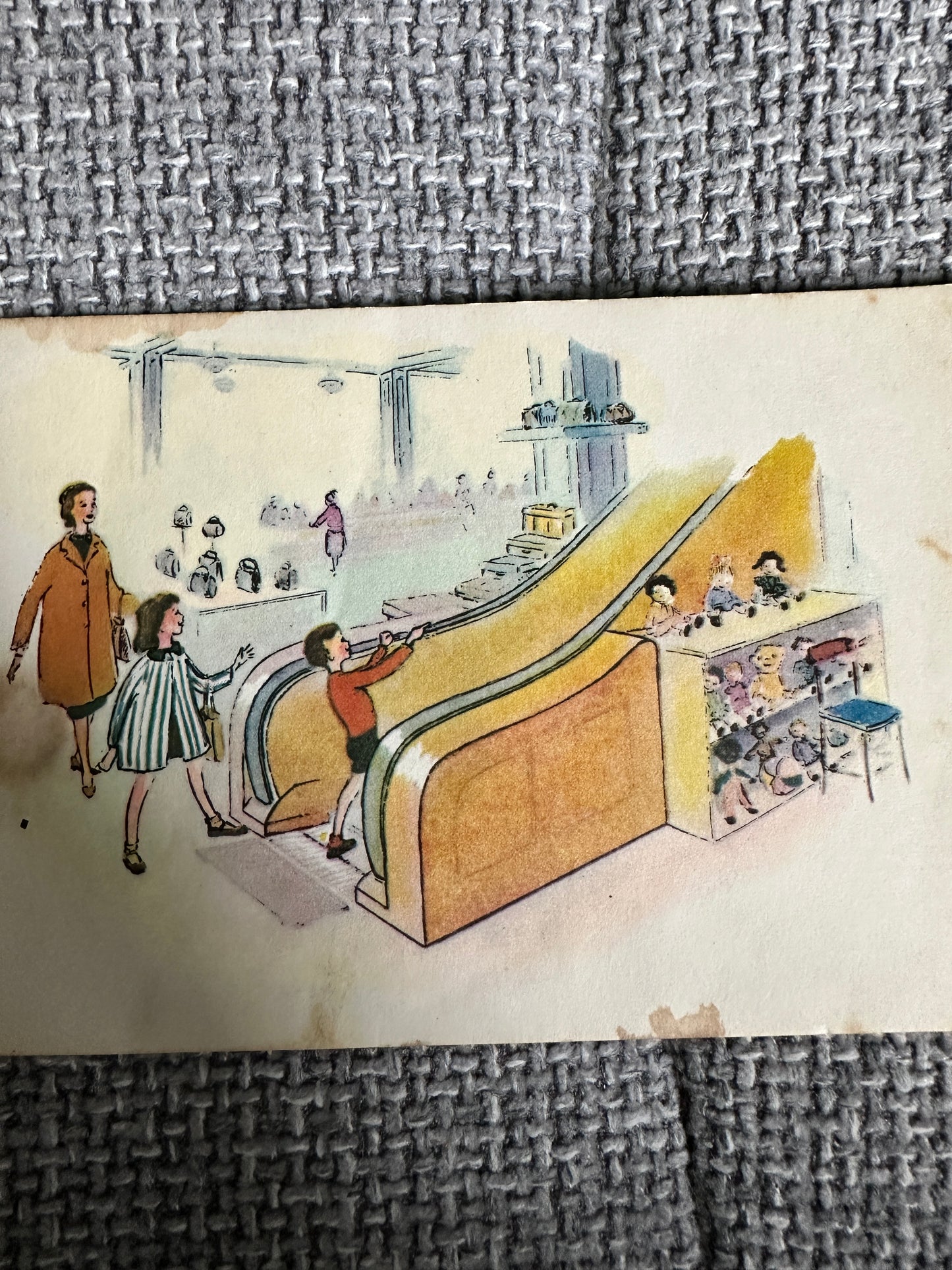 1960’s Ready To Read: Where Is Timothy? - Dora Ridall (Dept of Education New Zealand