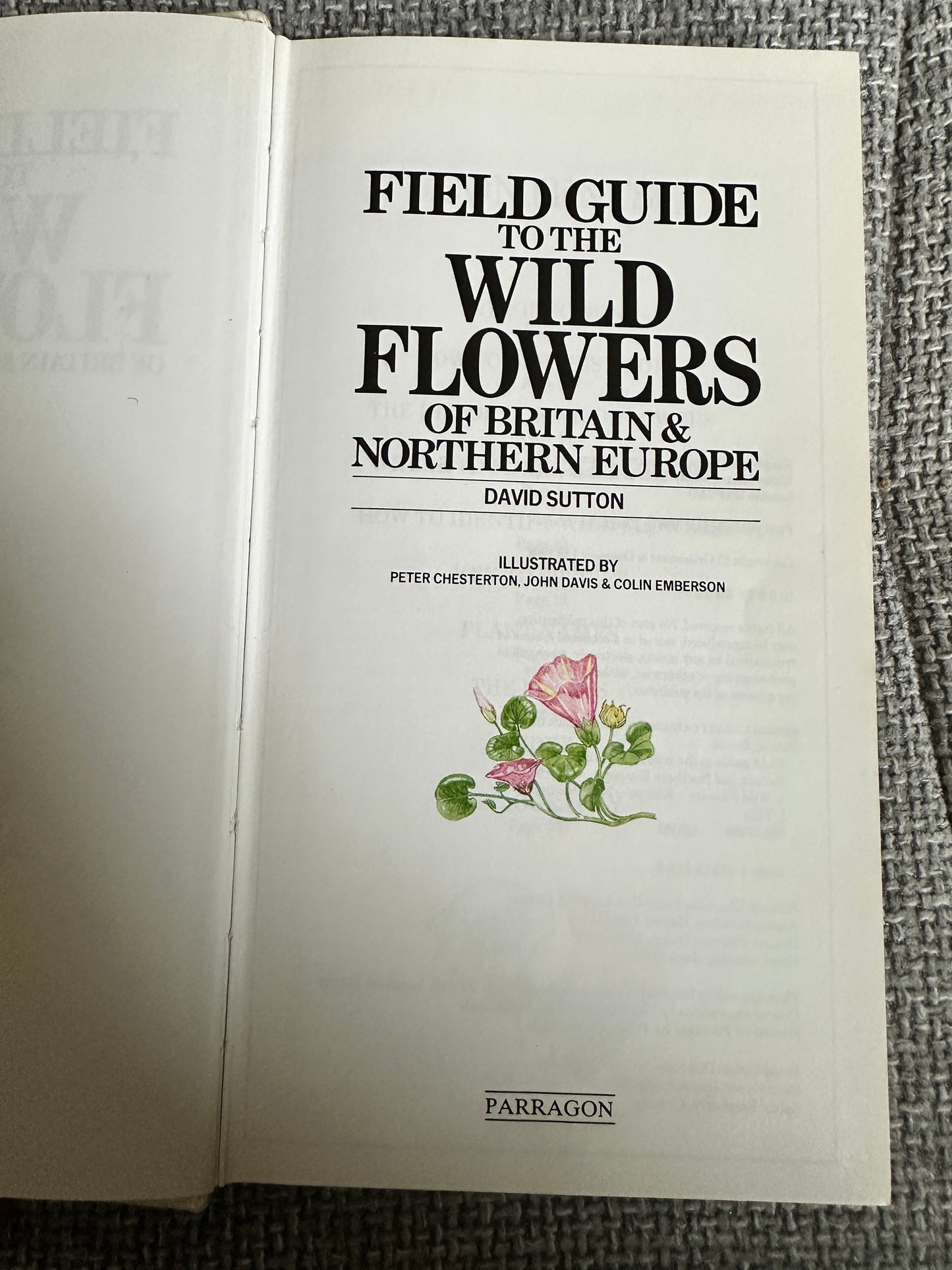 1988 Field Guide To The Wild Flowers Of Britain & Northern Europe - David Sutton(Illust Peter Chesterton, John Davis & Colin Emberson) Parragon