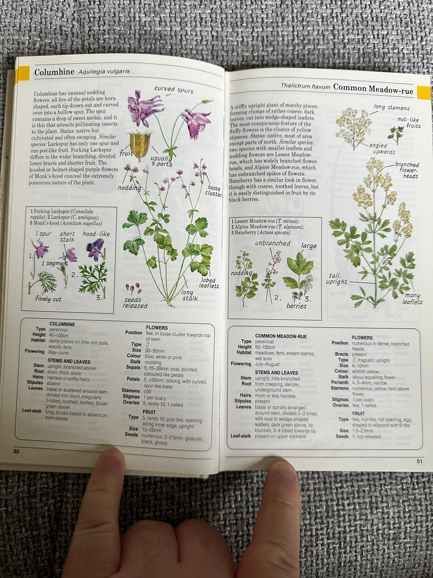 1988 Field Guide To The Wild Flowers Of Britain & Northern Europe - David Sutton(Illust Peter Chesterton, John Davis & Colin Emberson) Parragon