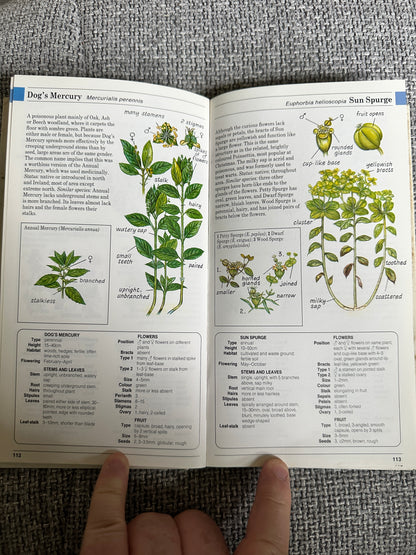 1988 Field Guide To The Wild Flowers Of Britain & Northern Europe - David Sutton(Illust Peter Chesterton, John Davis & Colin Emberson) Parragon