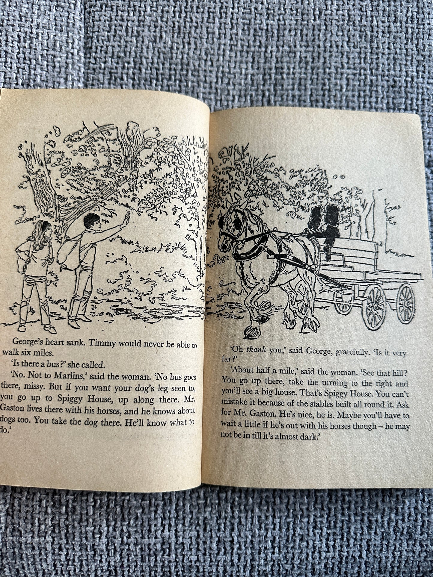 1972 Five On A Hike Together - Enid Blyton(Betty Maxey Illust) Knight Books