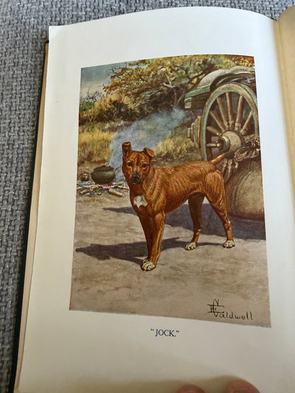 1919 Jock Of The Bushveld - Sir Percy Fitzpatrick (E. Caldwell illust) Longmans, Green & Co Ltd