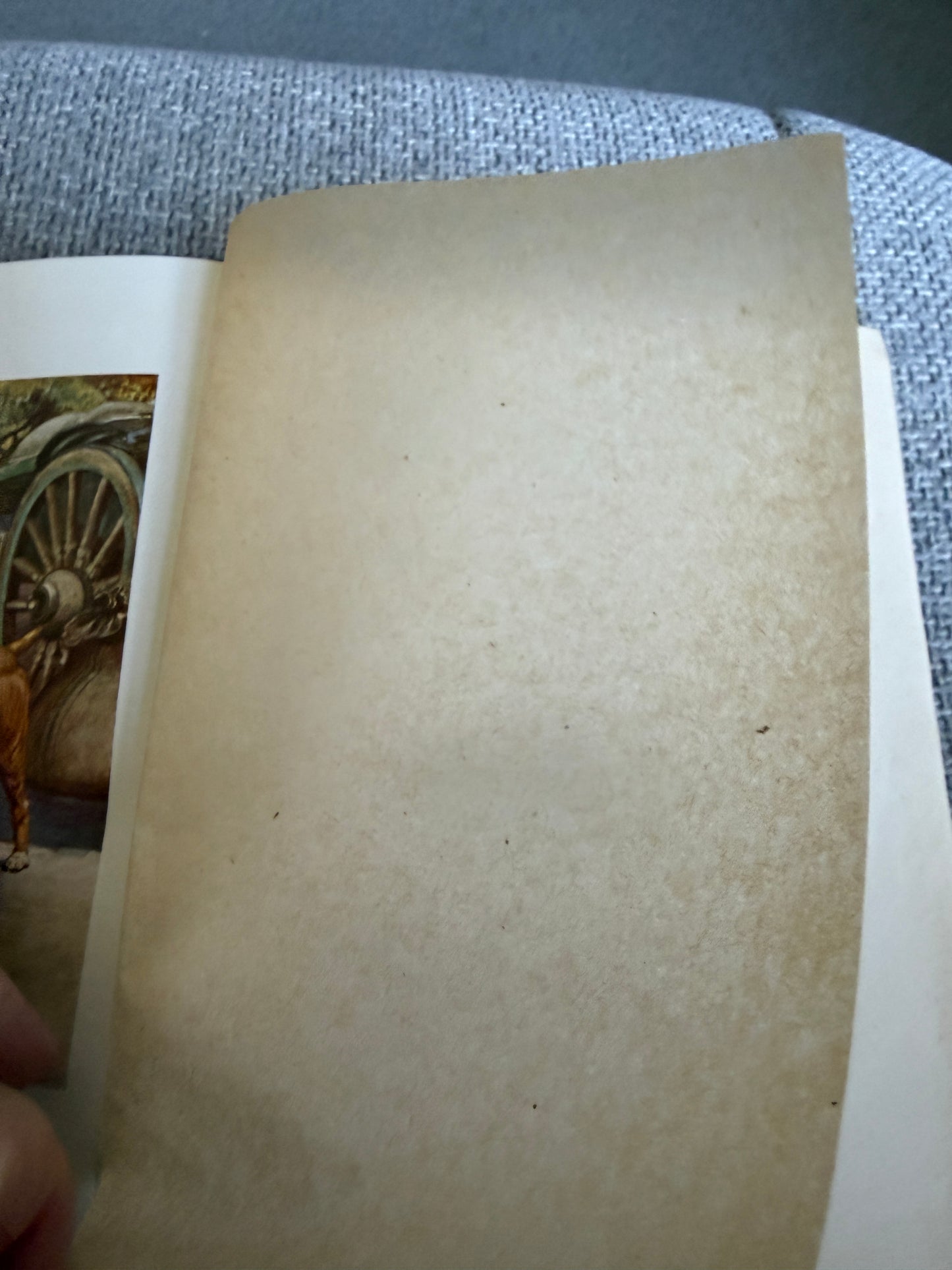 1919 Jock Of The Bushveld - Sir Percy Fitzpatrick (E. Caldwell illust) Longmans, Green & Co Ltd
