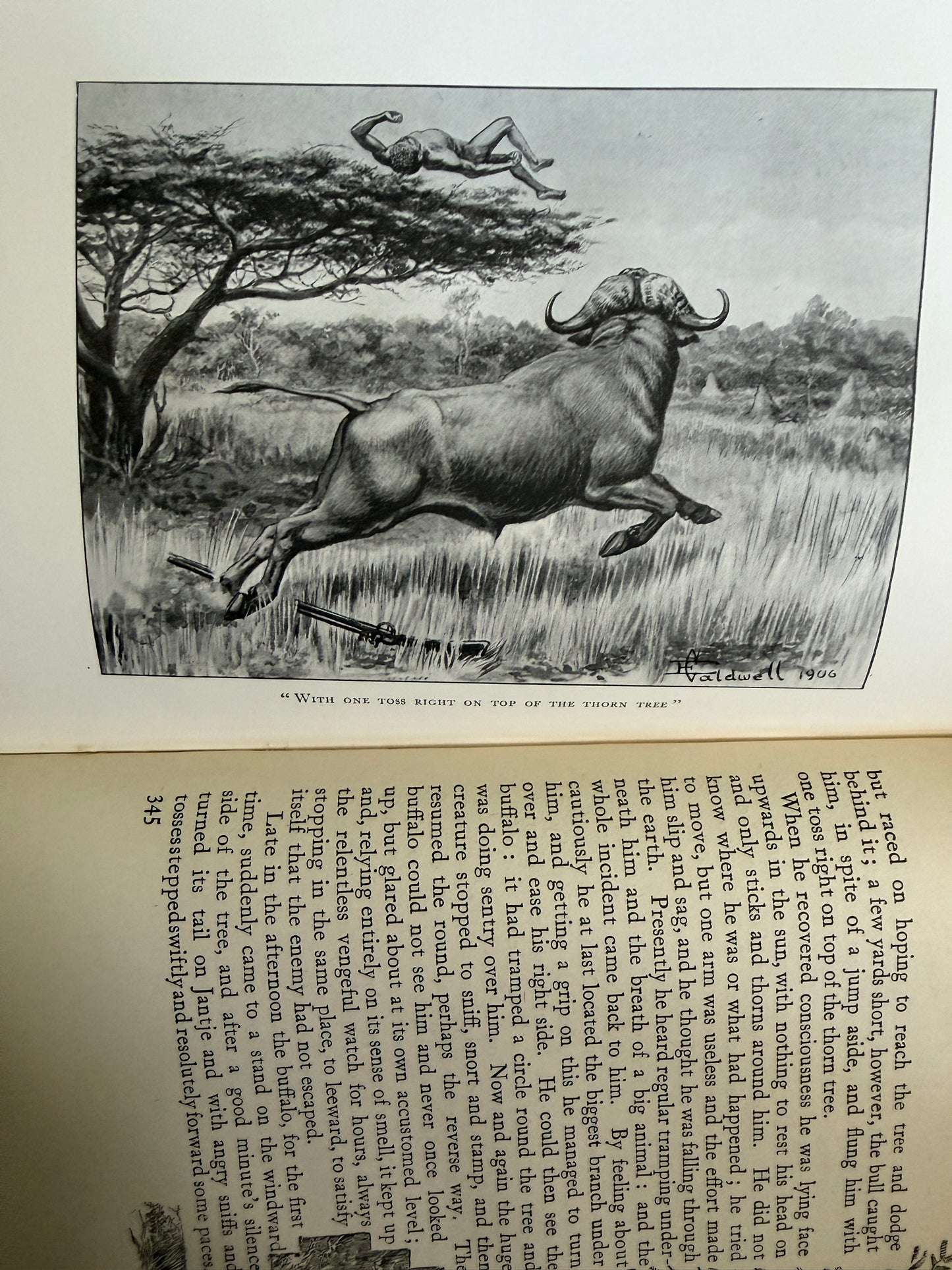 1919 Jock Of The Bushveld - Sir Percy Fitzpatrick (E. Caldwell illust) Longmans, Green & Co Ltd